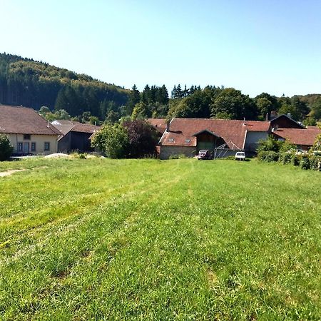 Gite Le Geleinfete II Vosges A Proximite De Gerardmer Herpelmont Exteriér fotografie